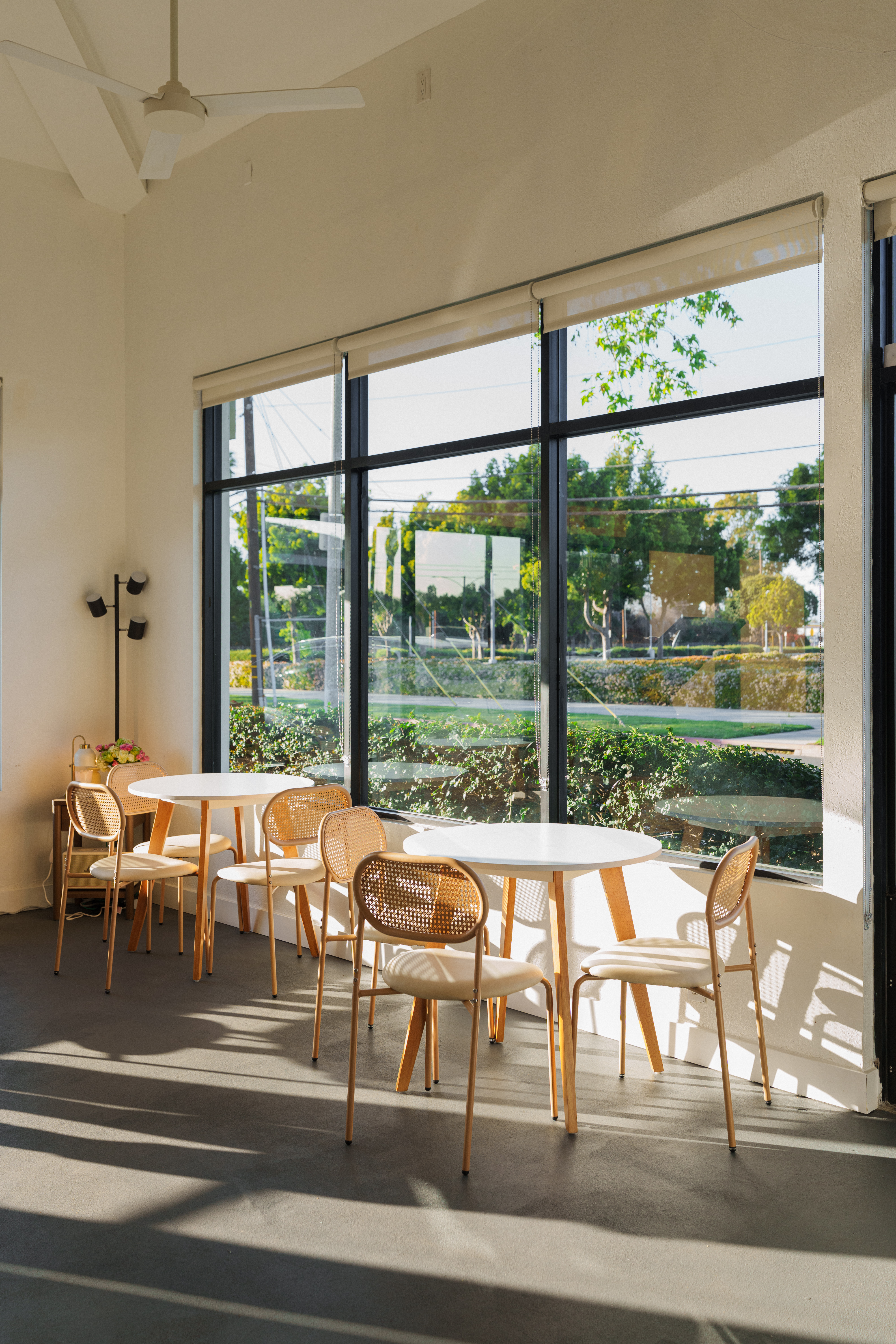 Cafe Interior Sunshine